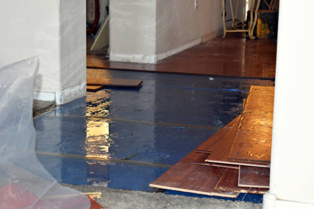 Professional Emergency Water Damage Restoration technician working in Port Charlotte, FL